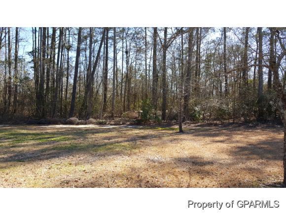 999 Chicken Shack Road Hookerton, NC 28538 - Photo 2 of 36 Additional Photo