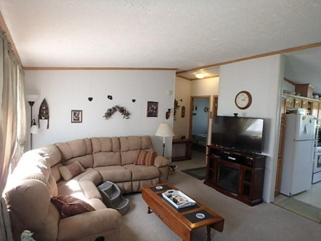64766 Prairie River Road Sturgis, MI 49091 - Photo 3 of 35 P4170908