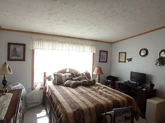 64766 Prairie River Road Sturgis, MI 49091 - Photo 9 of 35 P4170906