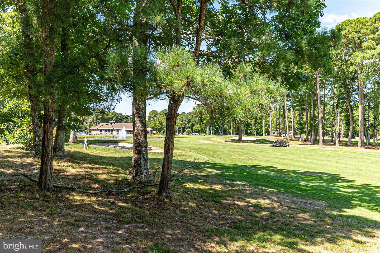 438 Ocean Parkway, Unit 35 Ocean Pines, MD 21811 - Photo 33 of 99 a view of a tree in a yard