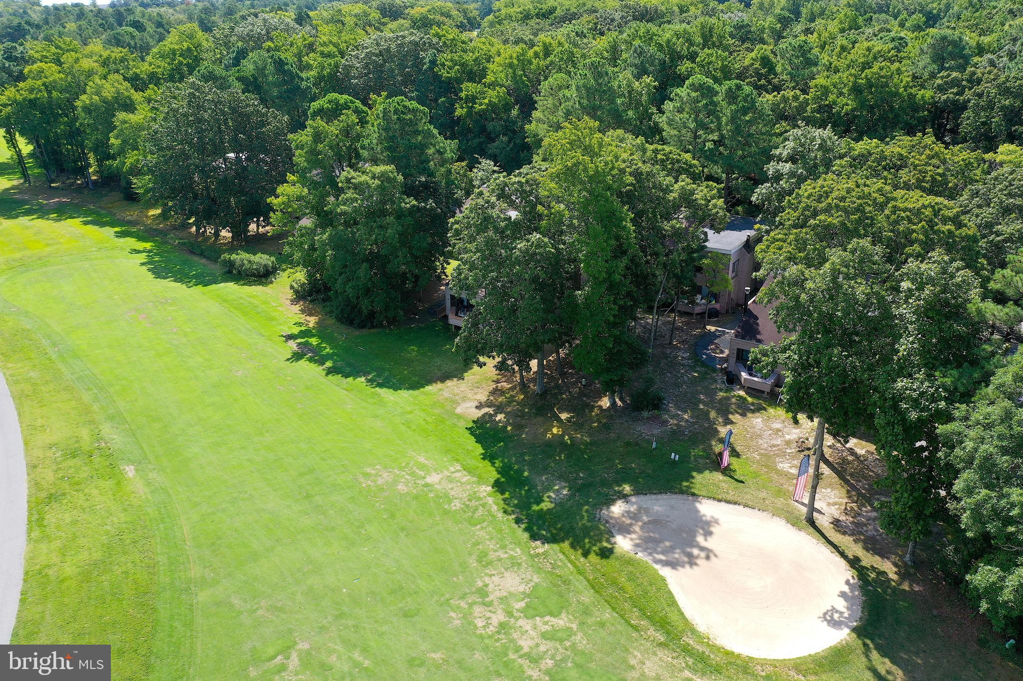 438 Ocean Parkway, Unit 35 Ocean Pines, MD 21811 - Photo 40 of 99 a backyard of a house with a yard and lake view
