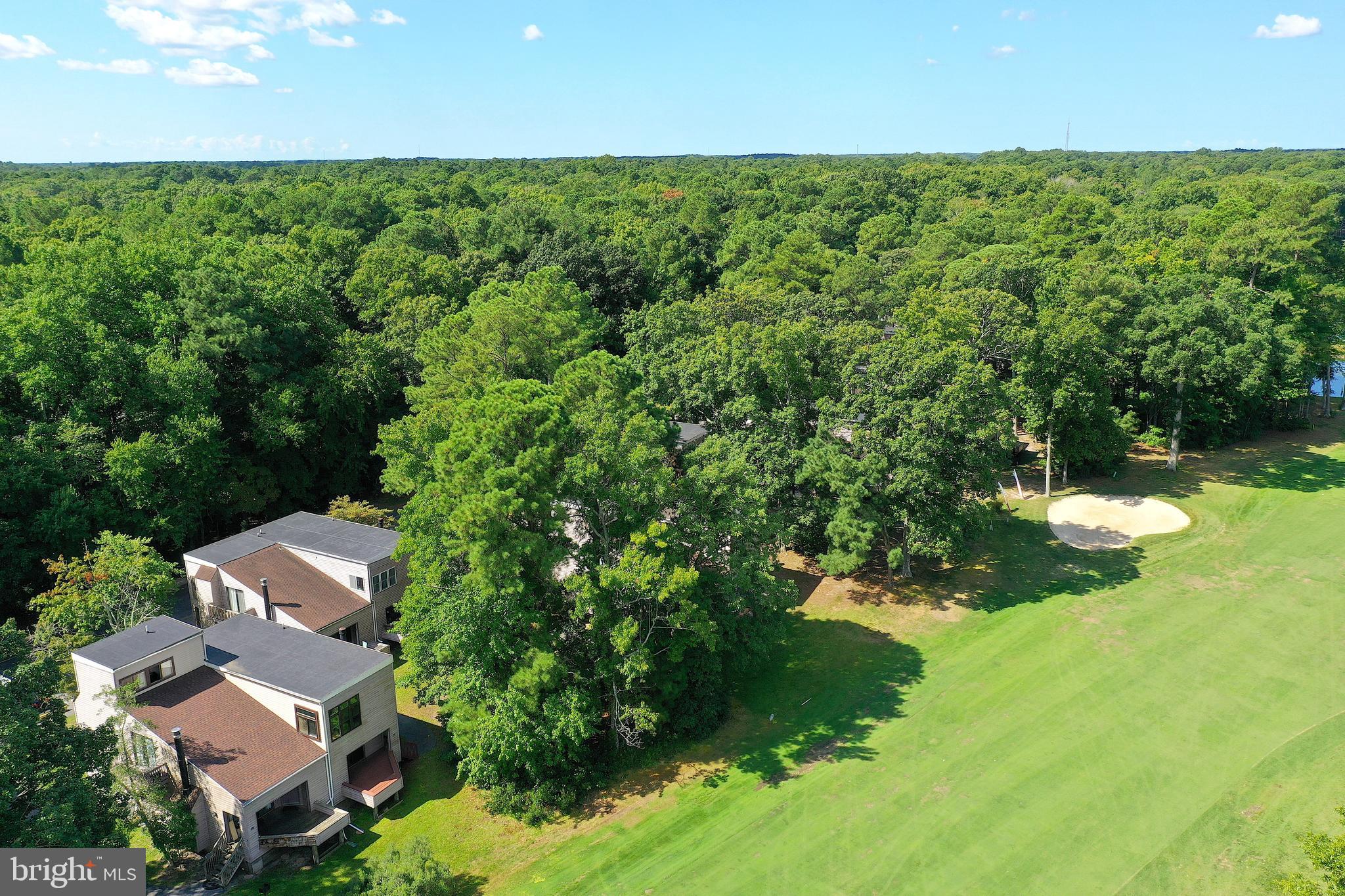 438 Ocean Parkway, Unit 35 Ocean Pines, MD 21811 - Photo 41 of 99 an aerial view of residential houses with outdoor space and trees