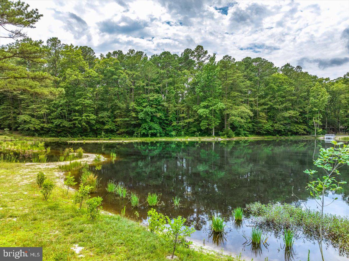 438 Ocean Parkway, Unit 35 Ocean Pines, MD 21811 - Photo 50 of 99