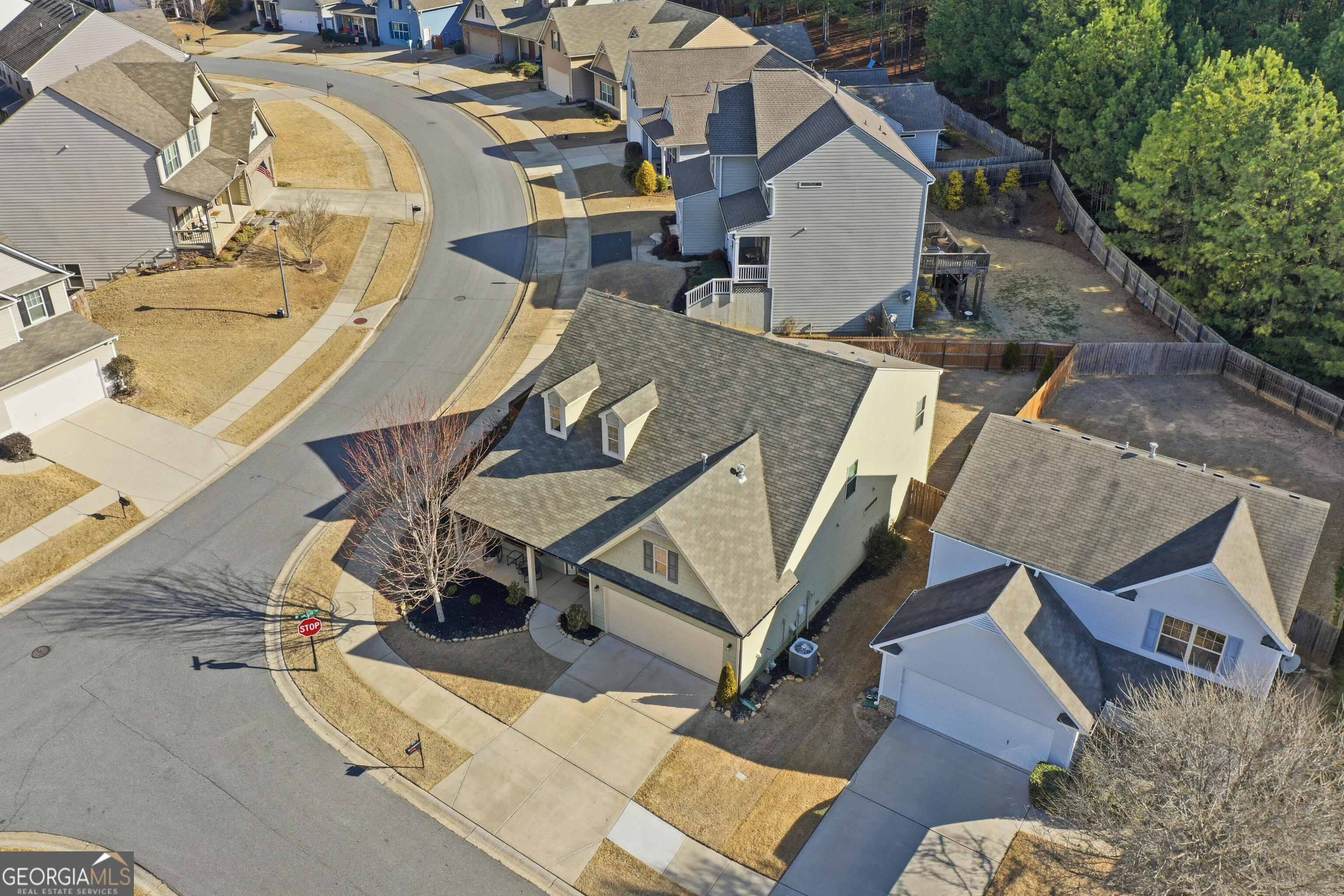 301 Stoney Hollow Road Canton, GA 30114 - Photo 42 of 47 an aerial view of a house with swimming pool