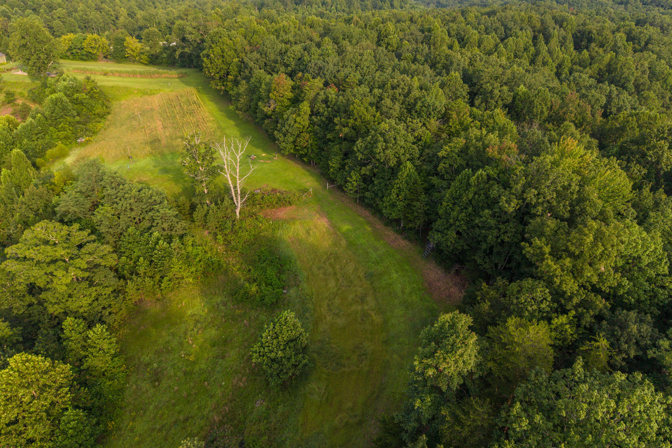 1662 South Tree Tower Road McKee, KY 40447 - Photo 72 of 88 20260814-1662-S-Tree-Tower-Rd-drone-fh-0