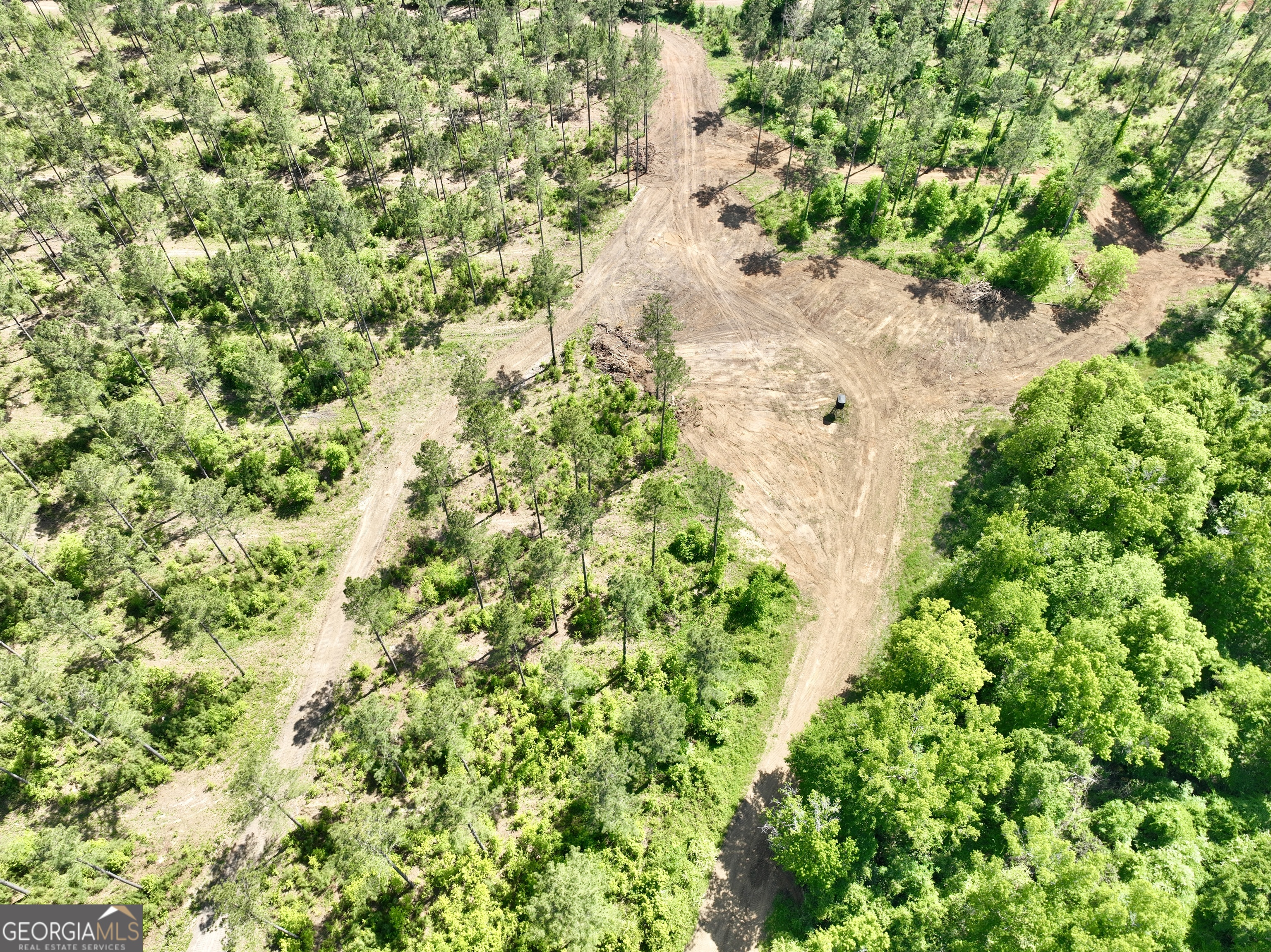 0 Poplar Springs Road Byromville, GA 31007 - Photo 2 of 36 Gallery Image 2