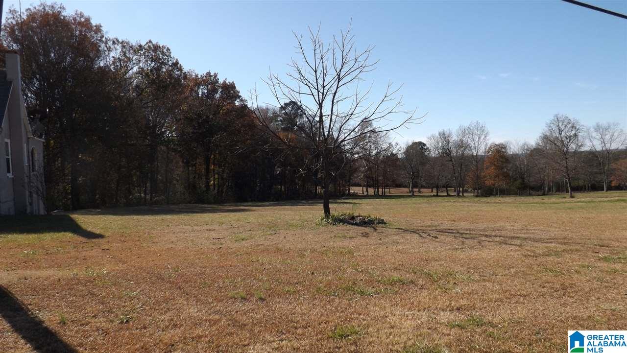 46785 Highway 231 Oneonta, AL 35121 - Photo 41 of 49