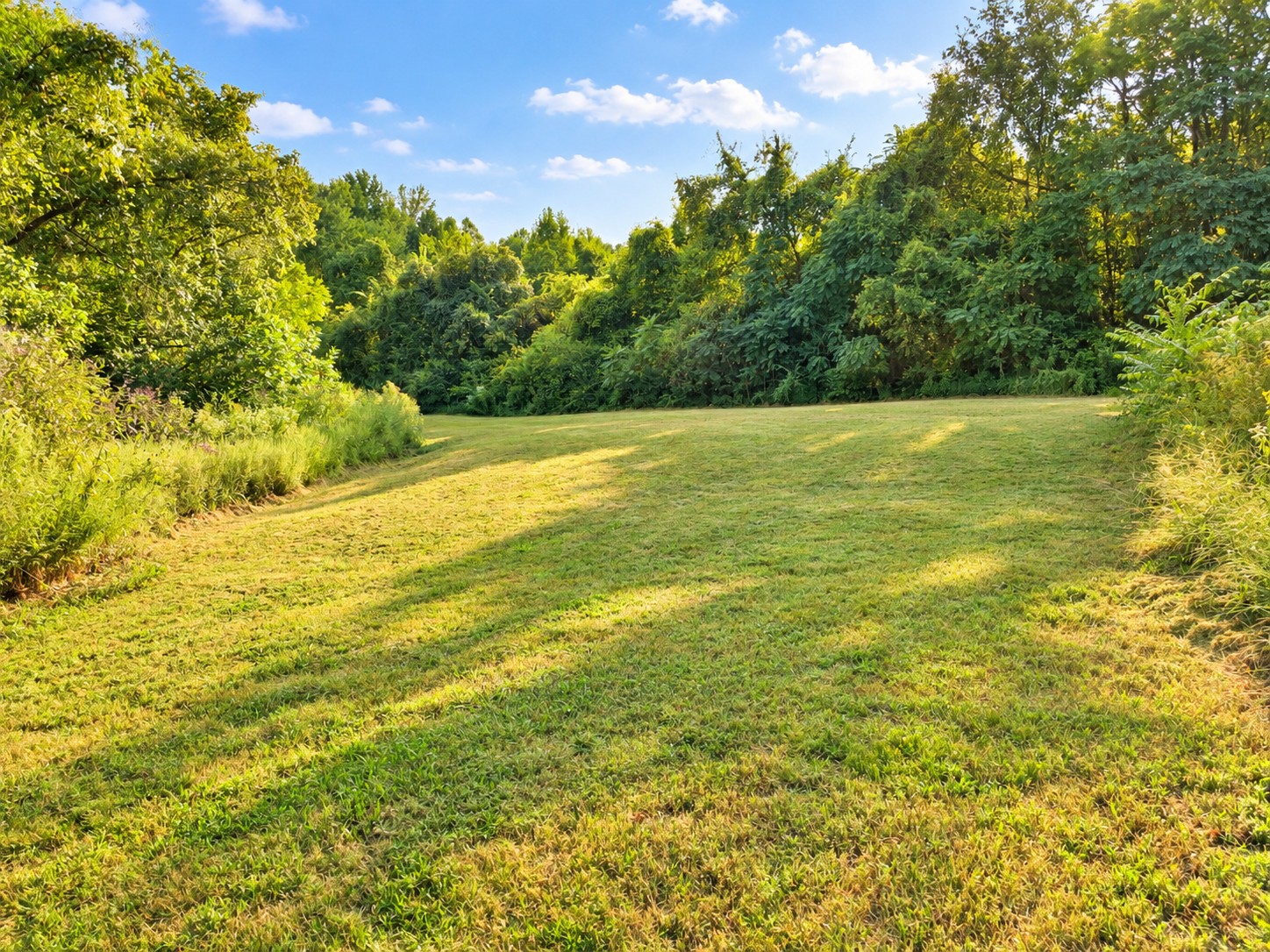 244 Franklin Limestone Road Nashville, TN 37217 - Photo 5 of 72 Gallery Image 5