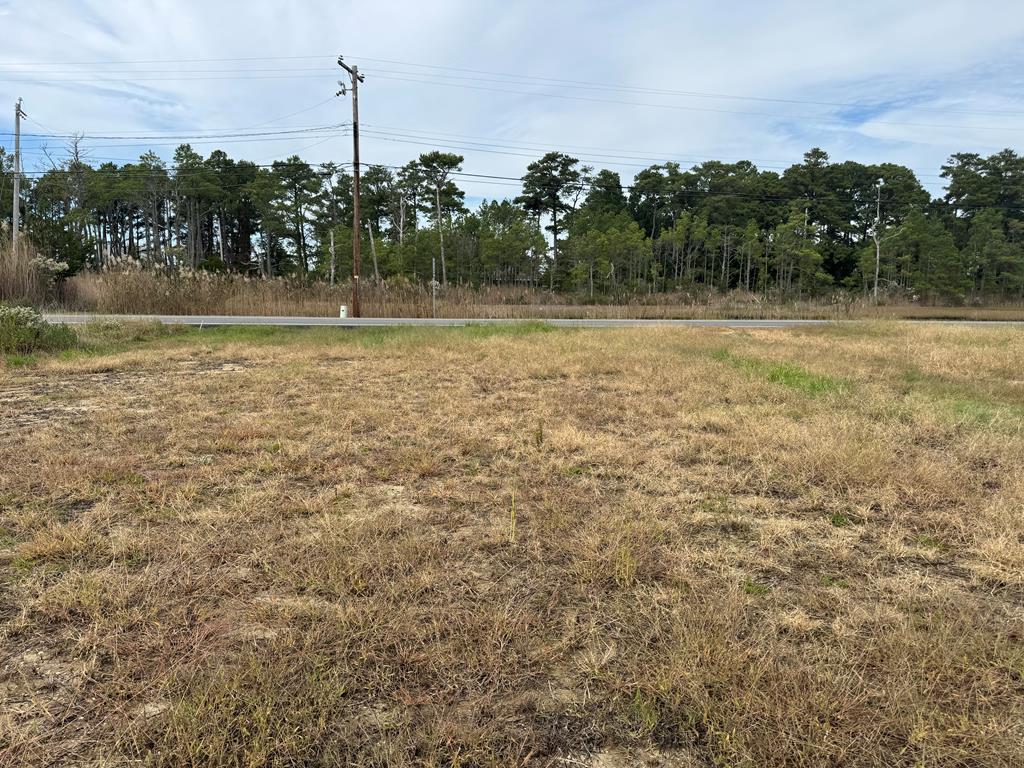 Lot 76 Main Street, Unit 76 Melfa, VA 23410 - Photo 2 of 8