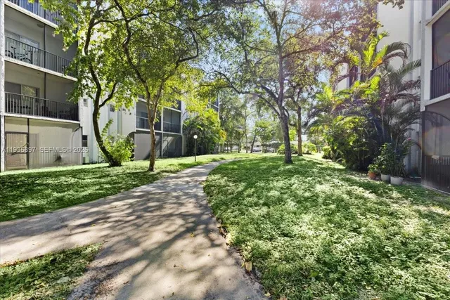 a view of a yard with plants and a large tree