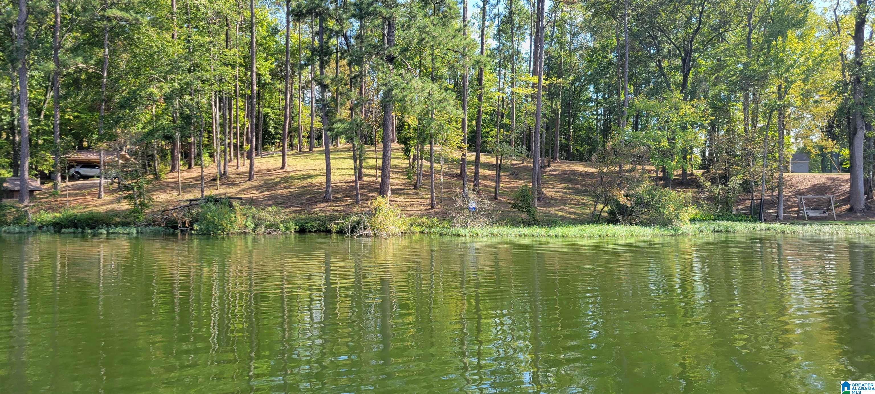 1830 Mimosa Point Road, Unit 5 Rockford, AL 35136 - Photo 10 of 25