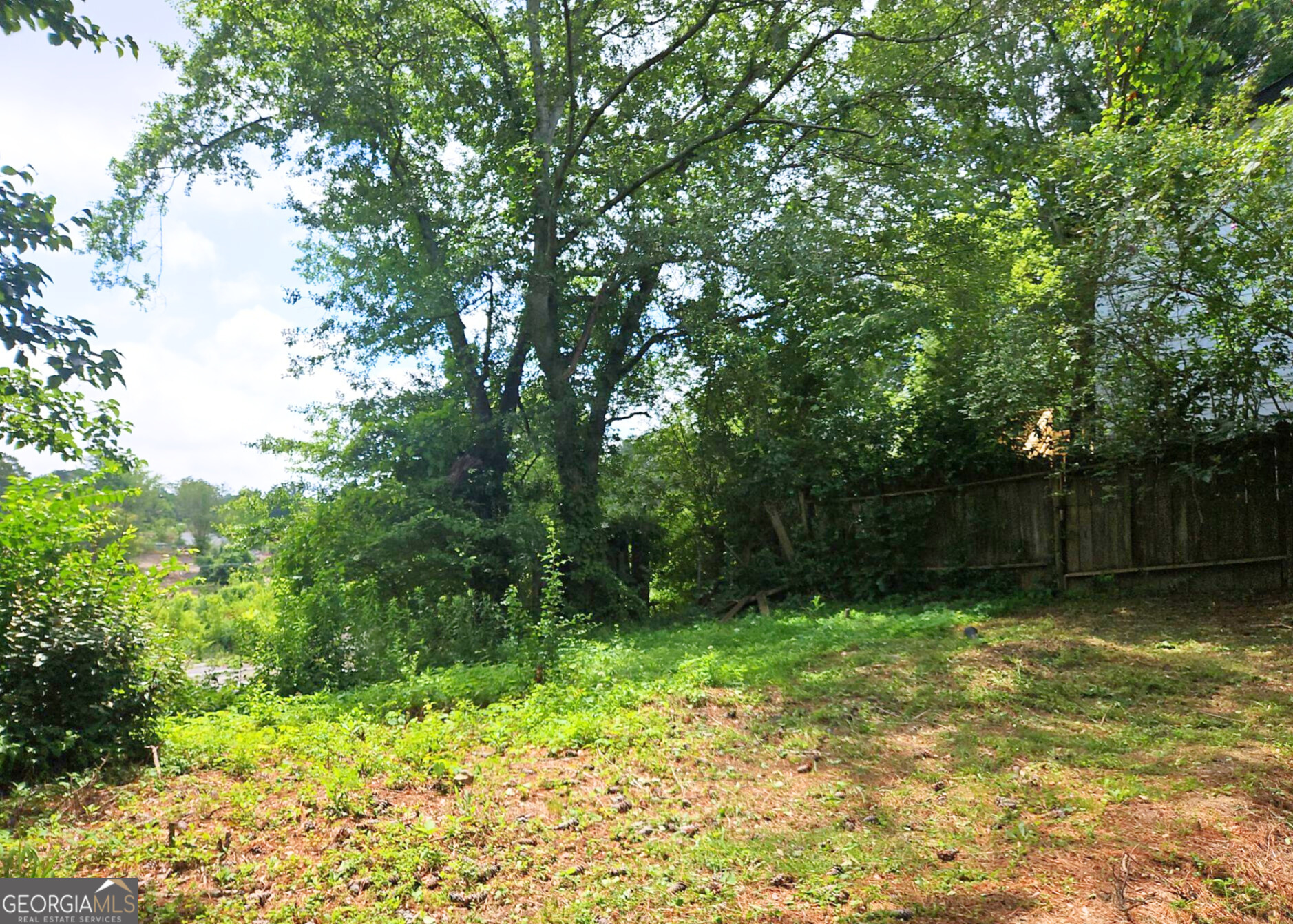 117 Dahlia Avenue Northwest Atlanta, GA 30314 - Photo 10 of 10 a view of outdoor space and yard