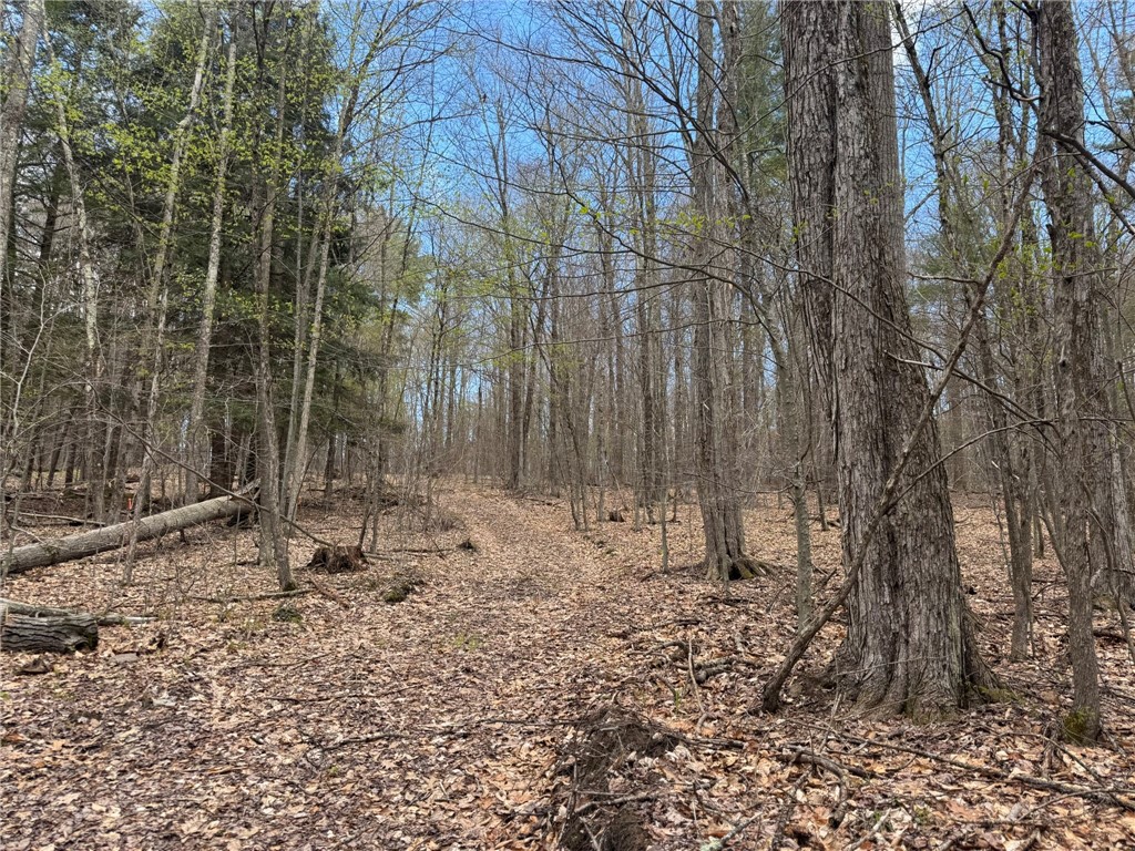 0 Patent Line Road Franklin, NY 13775 - Photo 37 of 47
