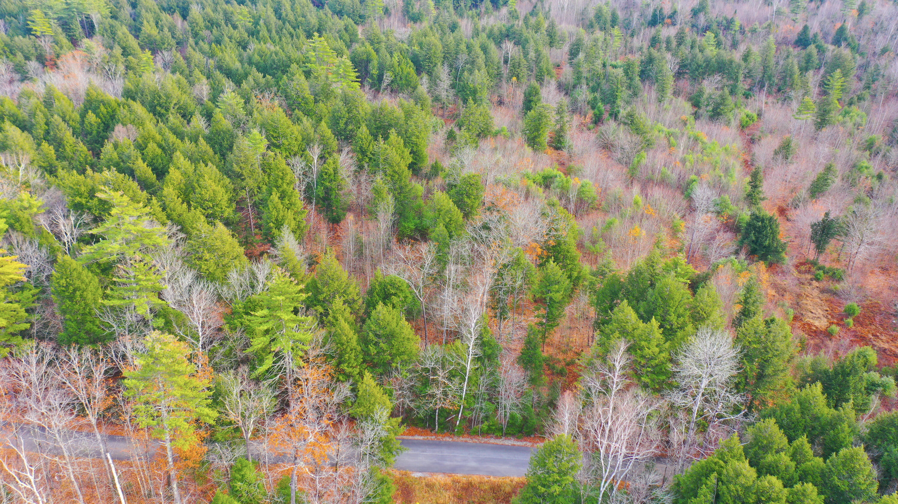 0 Vinton Road Lovell, ME 04051 - Photo 3 of 7 Vinton Road-2