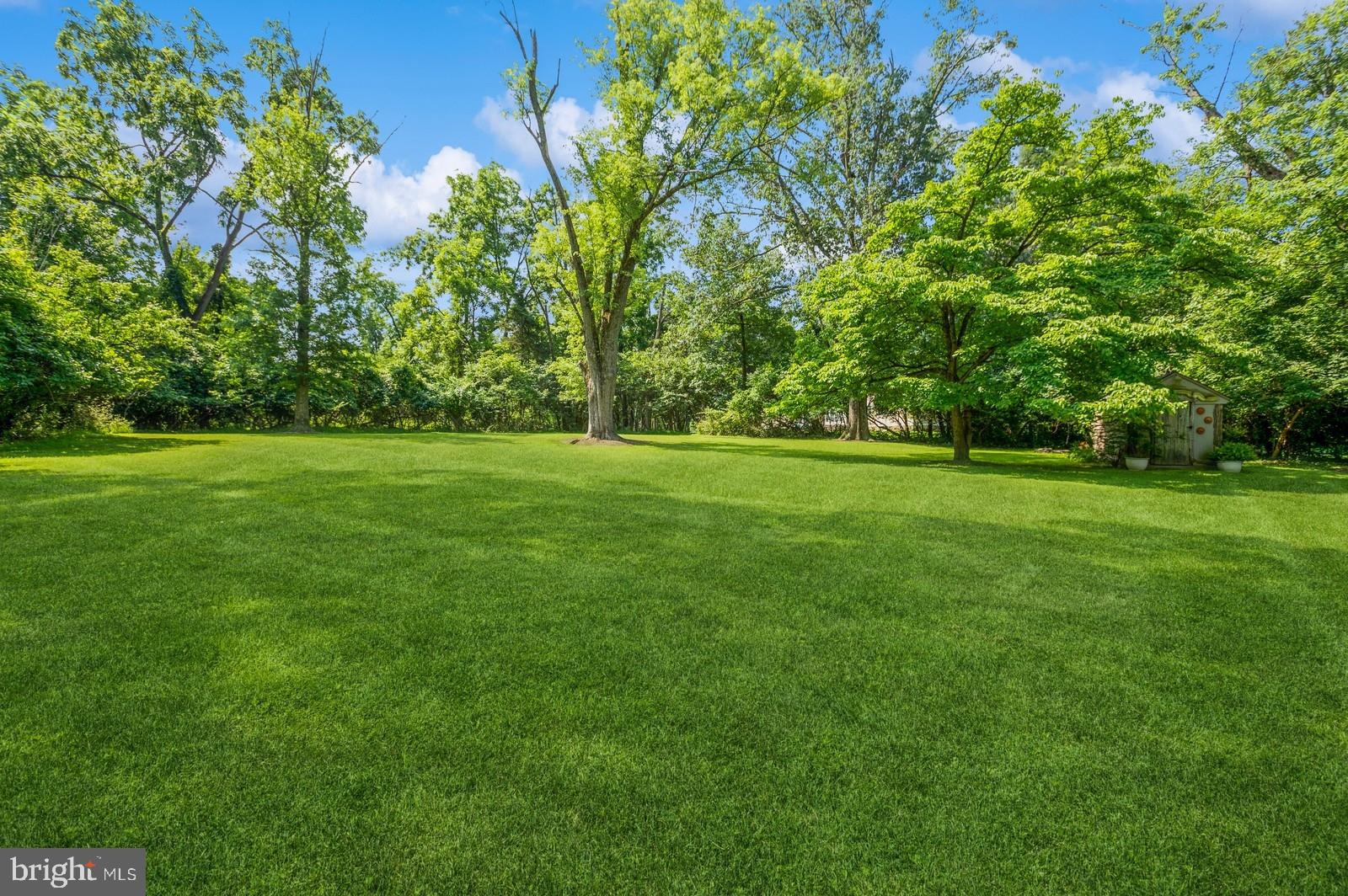 536 Rosedale Road Princeton, NJ 08540 - Photo 33 of 34 a view of a grassy field with trees