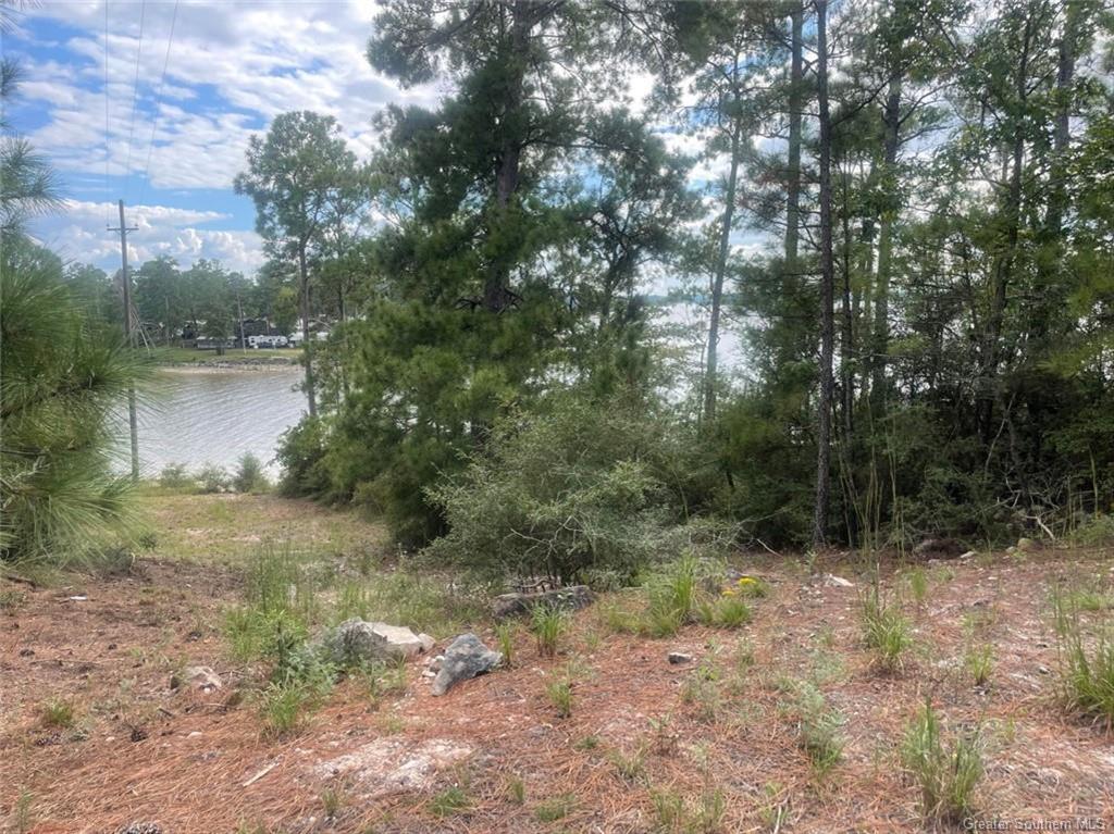 0 Cypress Cove Road Anacoco, LA 71403 - Photo 11 of 13