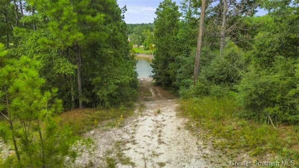 0 Cypress Cove Road Anacoco, LA 71403 - Photo 12 of 13