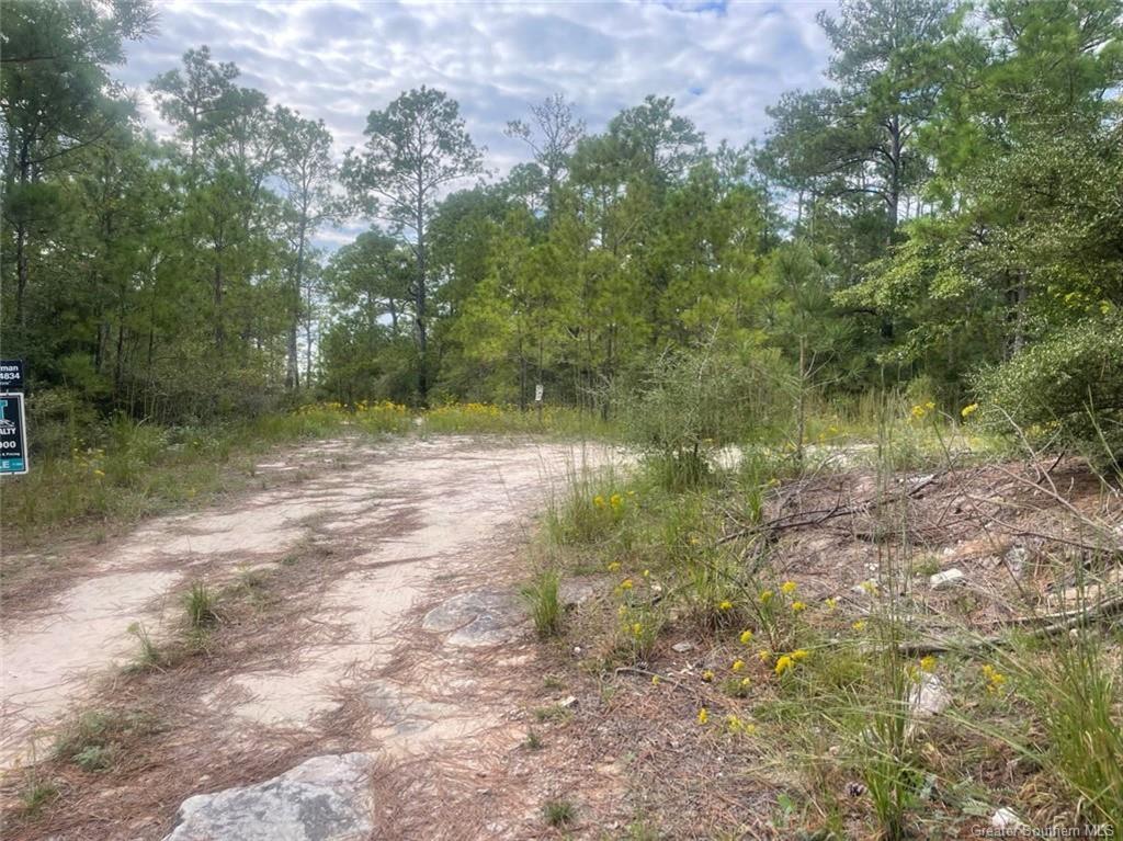 0 Cypress Cove Road Anacoco, LA 71403 - Photo 10 of 13