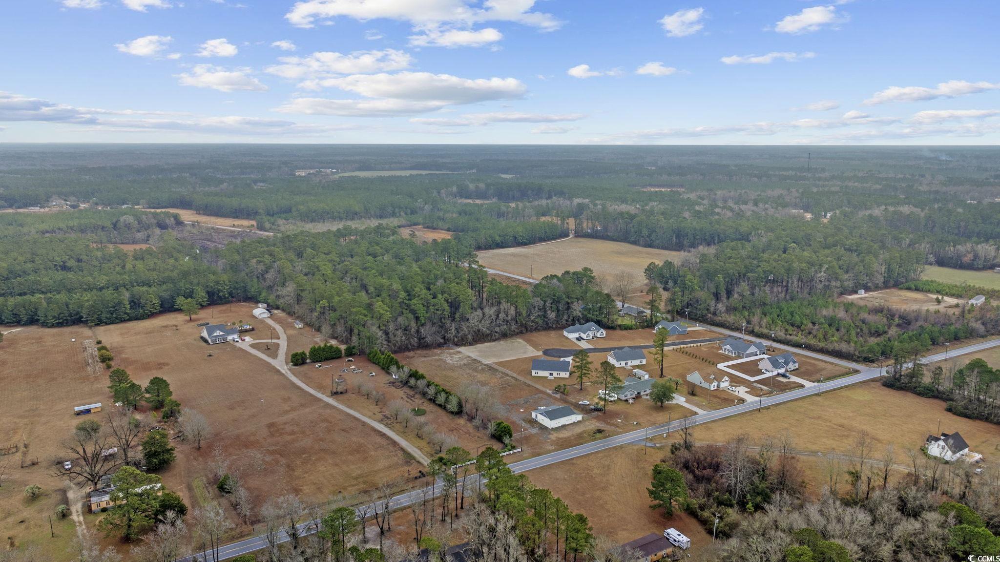 1715 Cane Branch Road Loris, SC 29569 - Photo 22 of 35