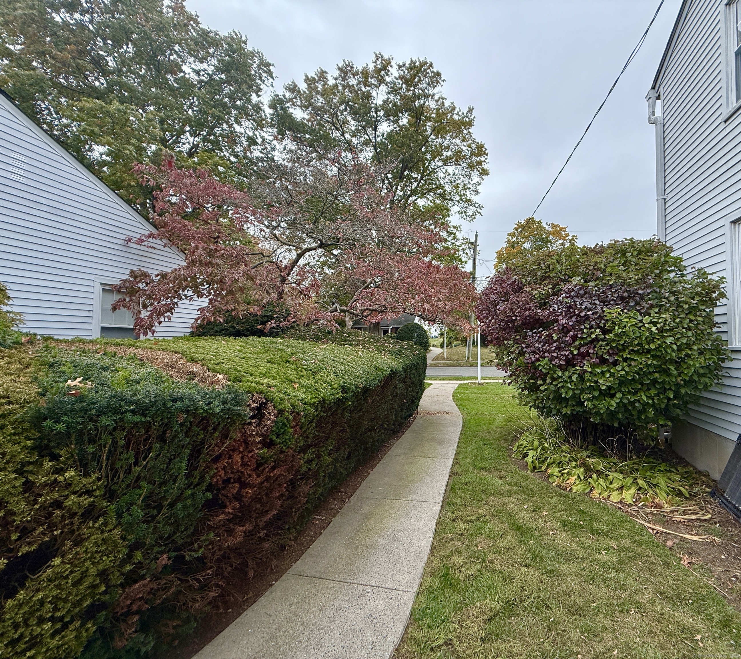 171 Sylvan Knoll Road Stamford, CT 06902 - Photo 20 of 23 a view of a pathway both side of yard