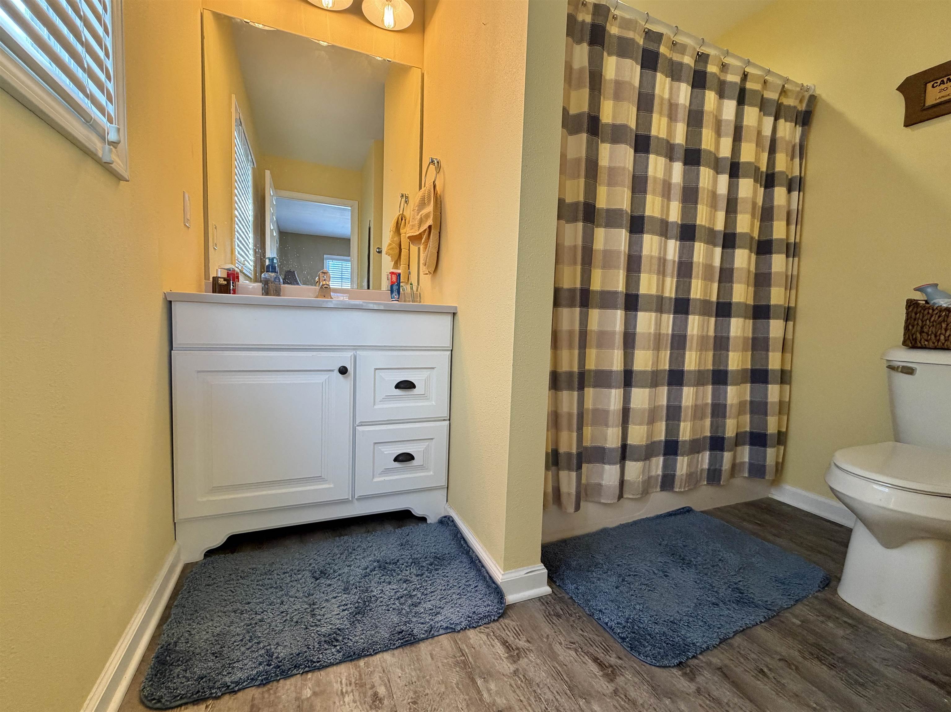5206 East Hubbard Trail Byron, IL 61010 - Photo 29 of 52 a bathroom with a sink a toilet and shower curtain