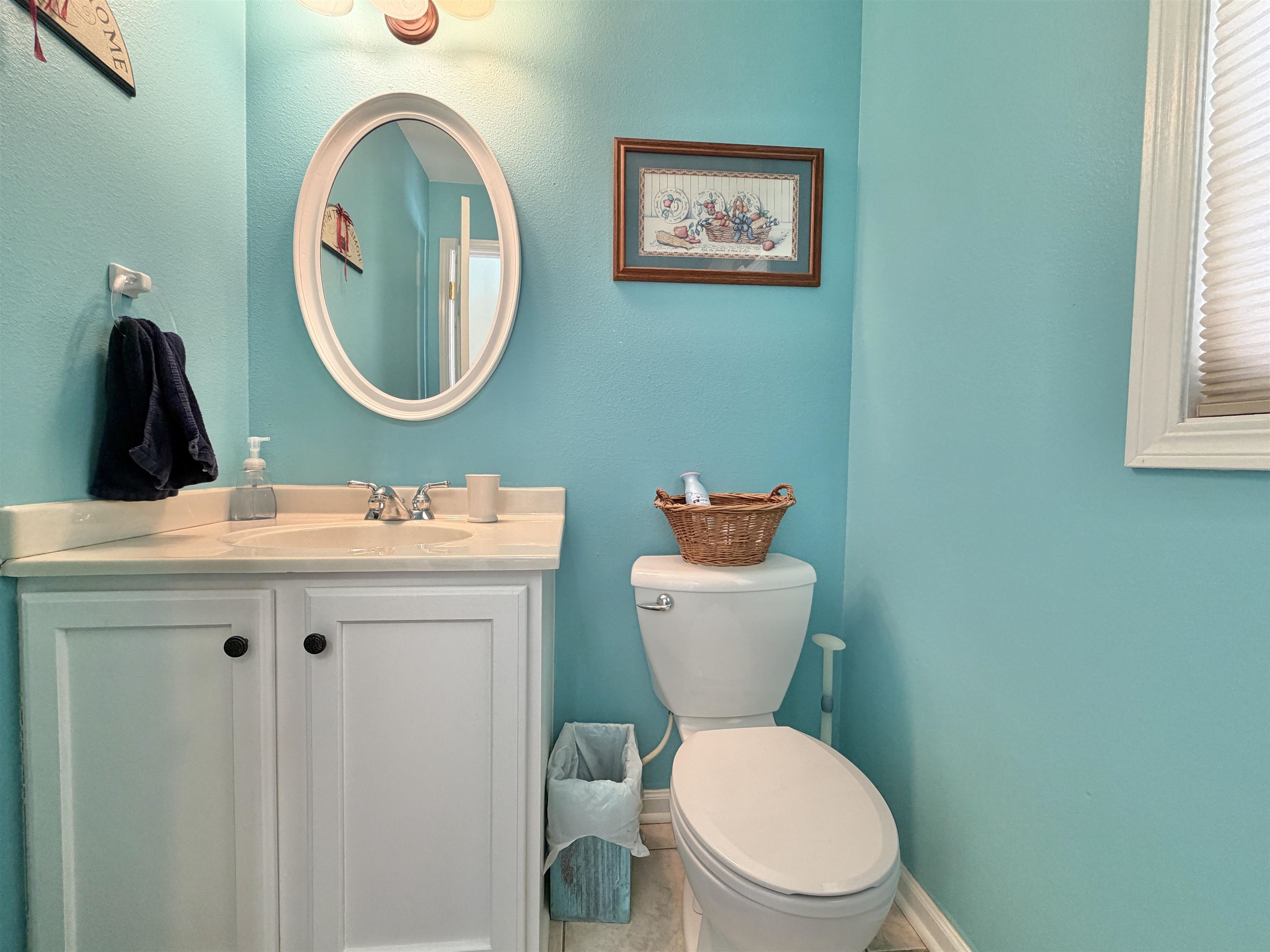 5206 East Hubbard Trail Byron, IL 61010 - Photo 31 of 52 a bathroom with a toilet a sink and a mirror