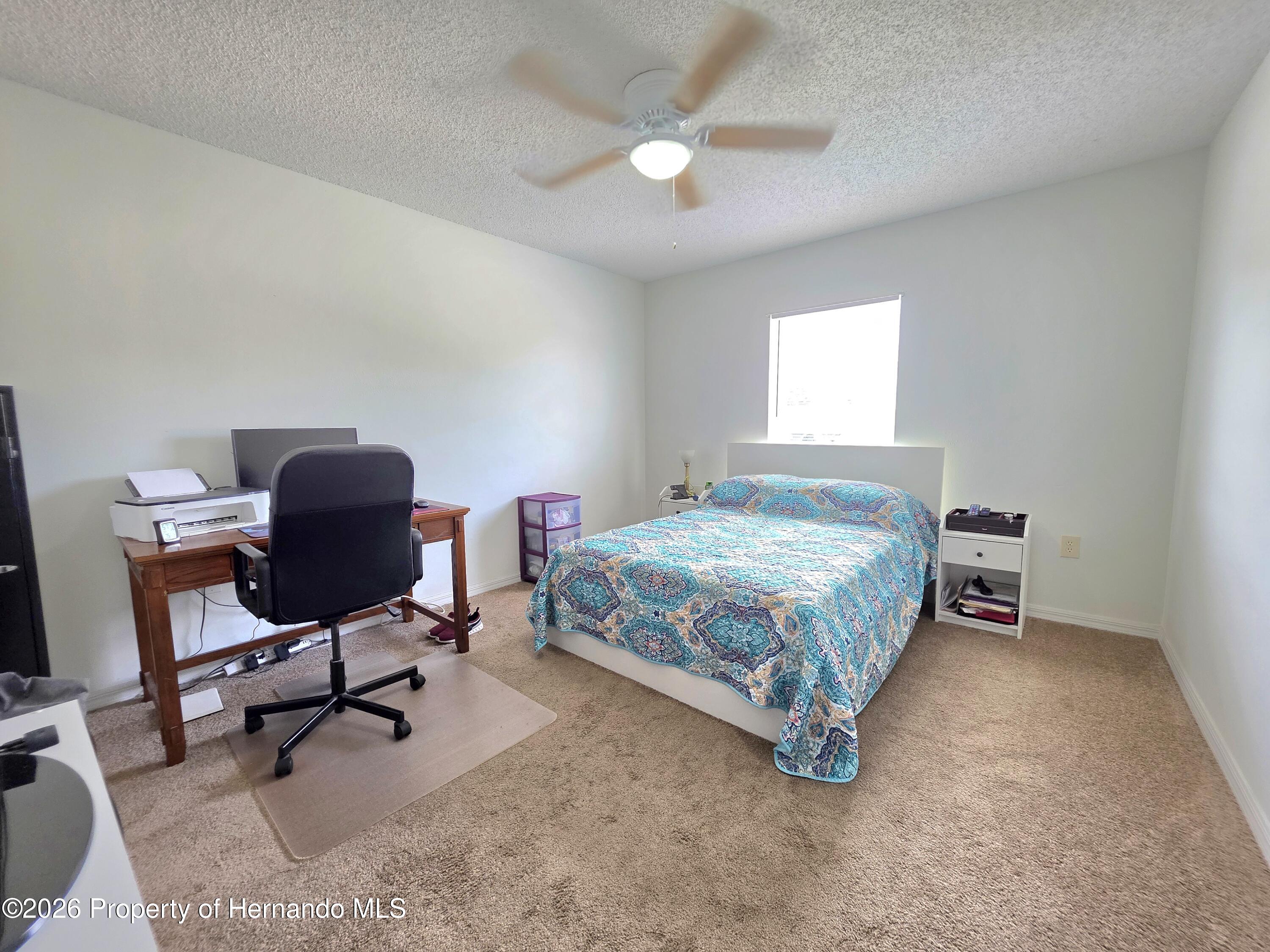 9055 Pemberton Street Spring Hill, FL 34608 - Photo 15 of 34