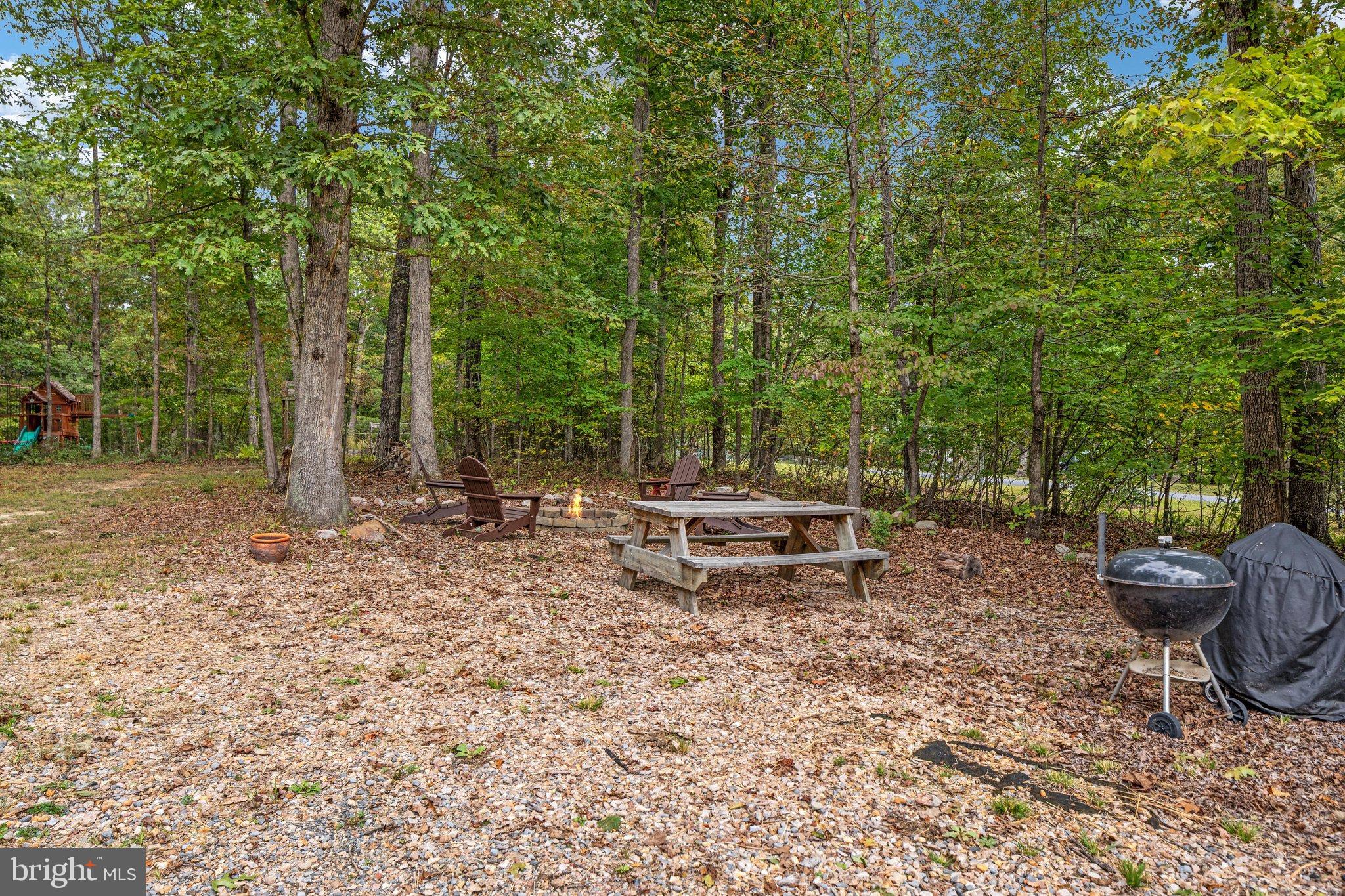 3823 Panhandle Road Front Royal, VA 22630 - Photo 53 of 78 Side yard Firepit and picnic area