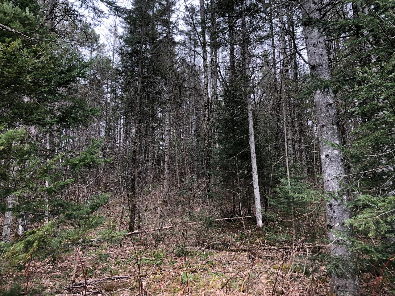 8 South Rd Crandon Wi 54520 Road Crandon, WI 54520 - Photo 22 of 38 Gallery Image 22