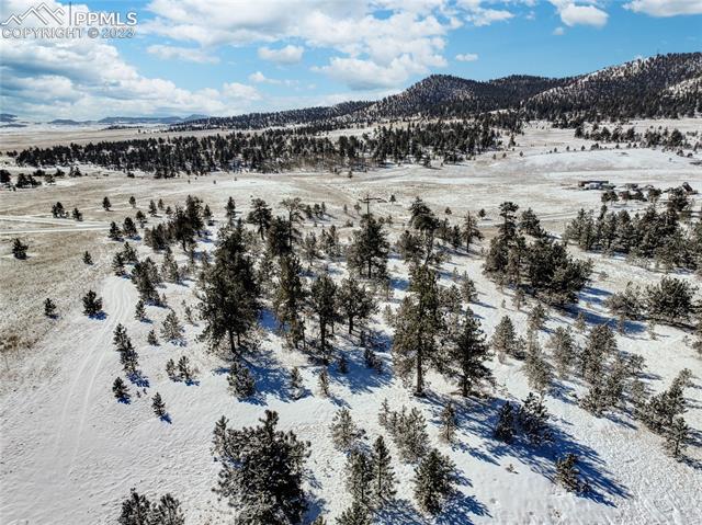 841 Jefferson Road Hartsel, CO 80449 - Photo 8 of 26