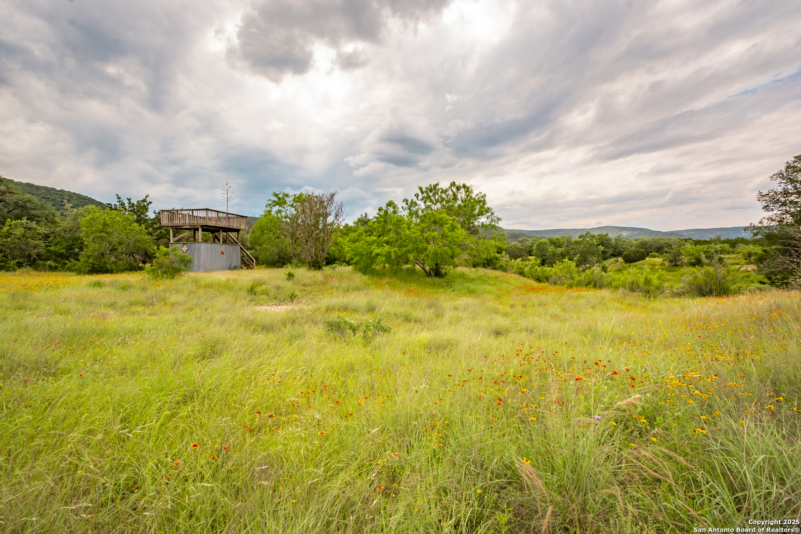2925 County Road 361 Utopia, TX 78884 - Photo 26 of 35