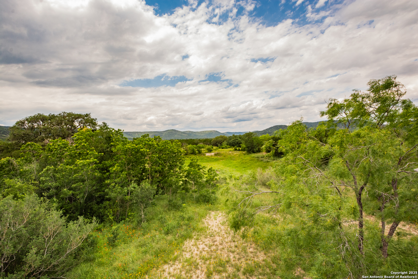 2925 County Road 361 Utopia, TX 78884 - Photo 29 of 35 a view of a bunch of trees and bushes