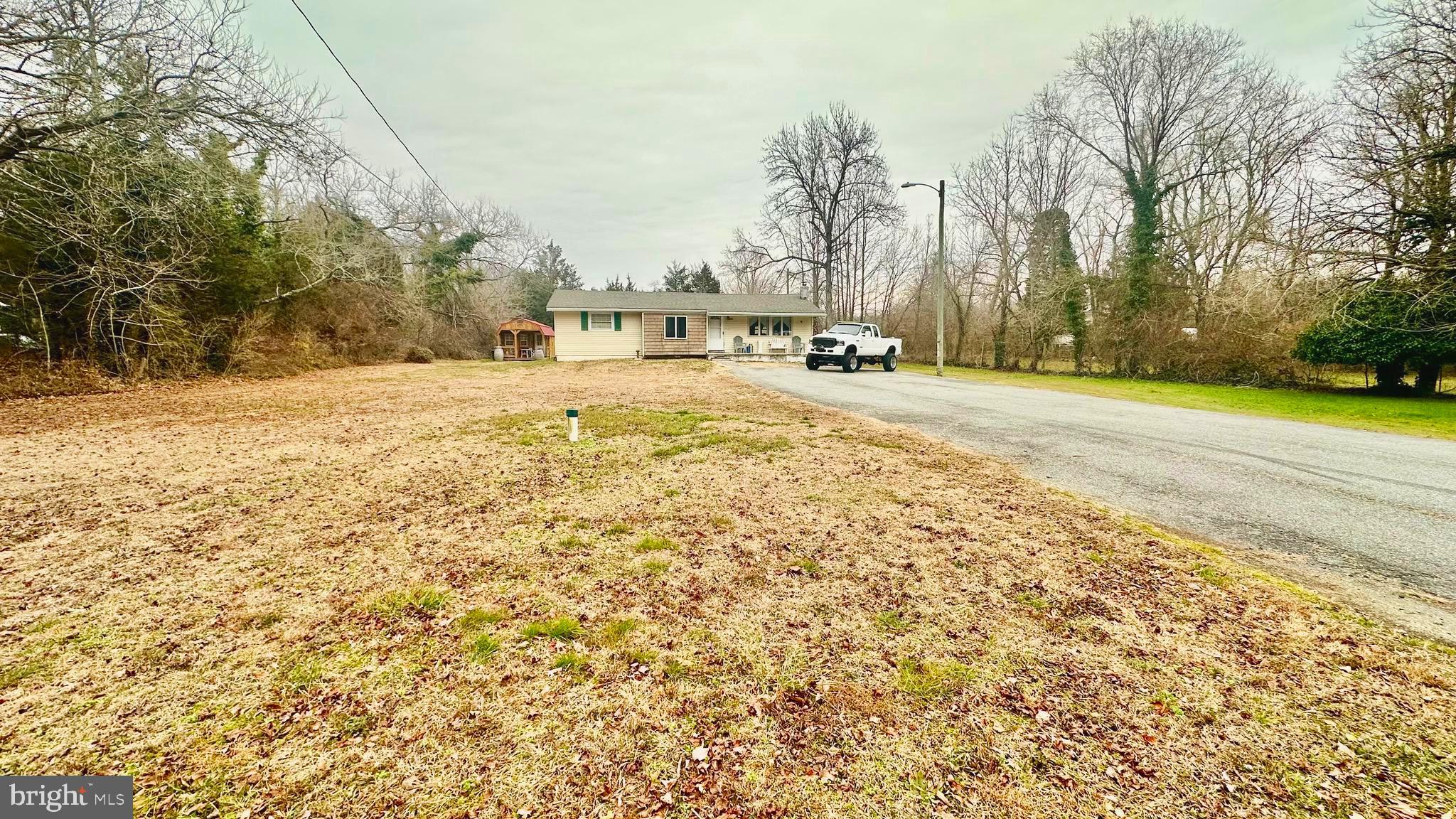 69 High Street Leesburg, NJ 08327 - Photo 3 of 34 a view of yard with large trees