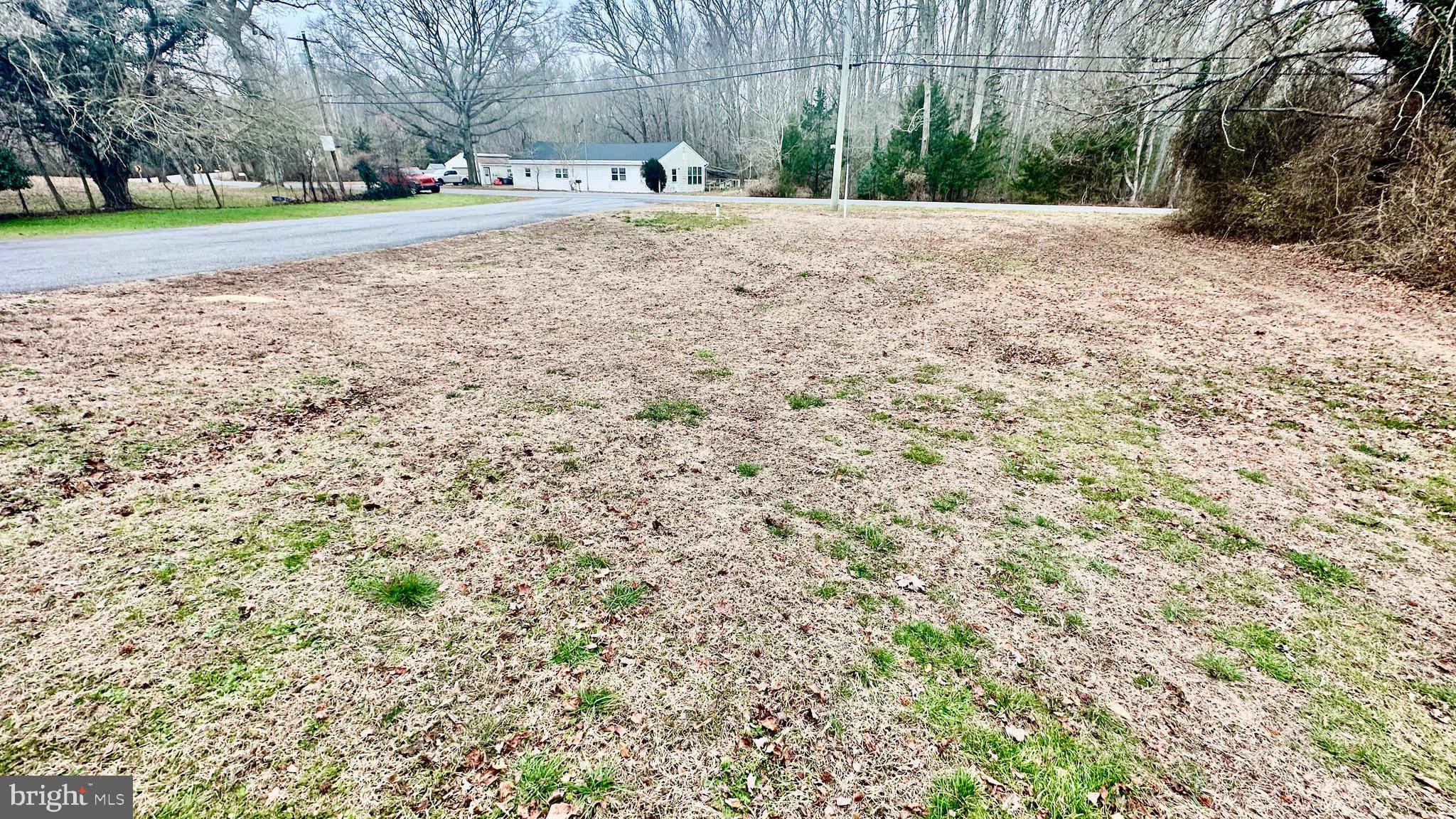 69 High Street Leesburg, NJ 08327 - Photo 8 of 34 a backyard of a house with a yard and large trees