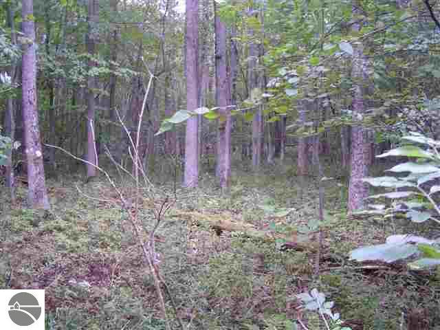 1911 Vaughn Road National City, MI 48748 - Photo 2 of 6 1743016-1.JPG