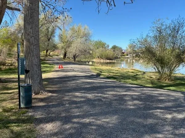 a view of a yard with an tree