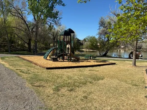 a view of water with palm trees