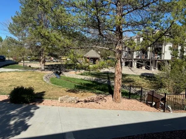 a view of a park with large trees