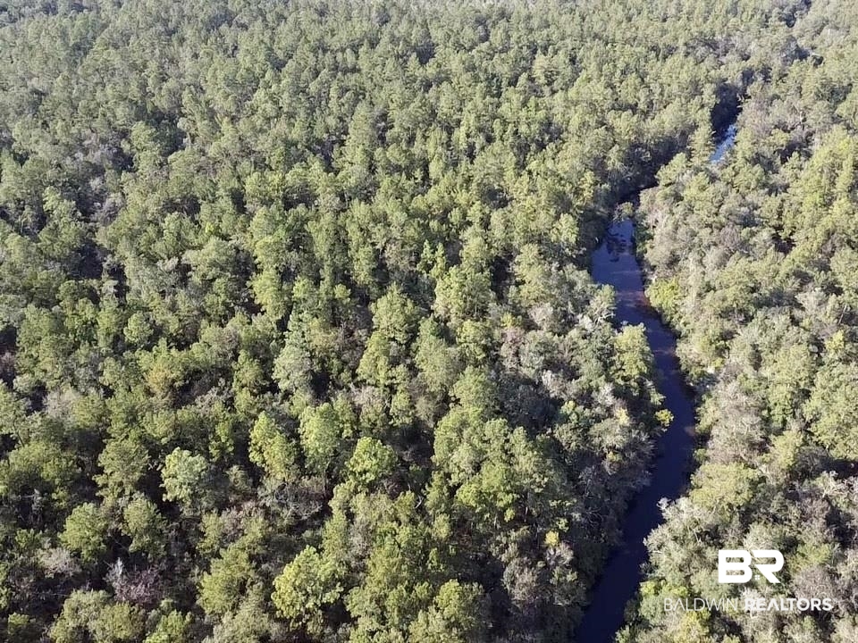 0 Country Road Vinegar Bend, AL 36584 - Photo 17 of 46