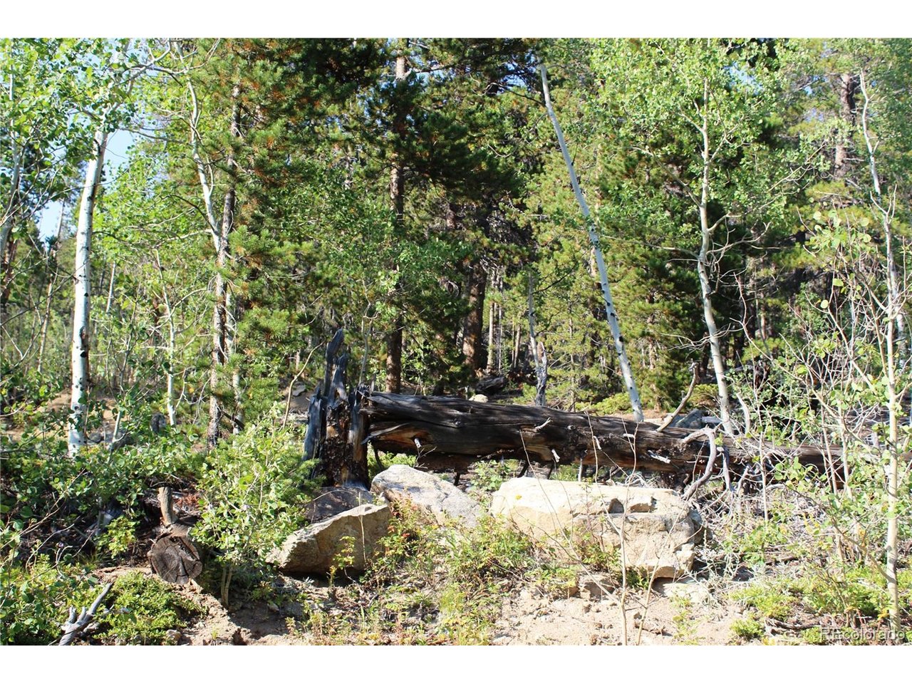 28 Sunflower Road Black Hawk, CO 80422 - Photo 6 of 10 Gallery Image 6