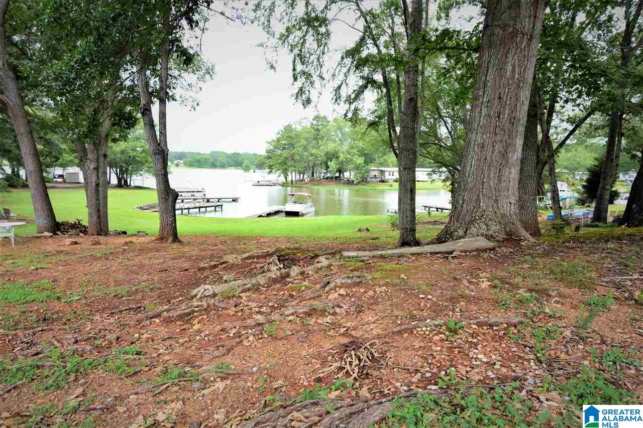 32 Smith Place Cropwell, AL 35054 - Photo 3 of 39