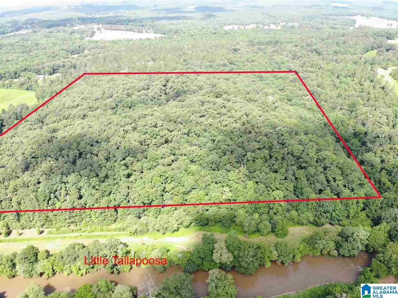 0 County Road 51 Graham, AL 36263 - Photo 3 of 7