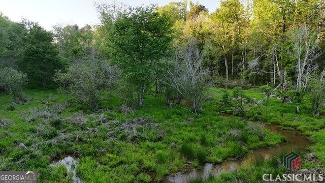 0 Moore Road Elberton, GA 30635 - Photo 36 of 67