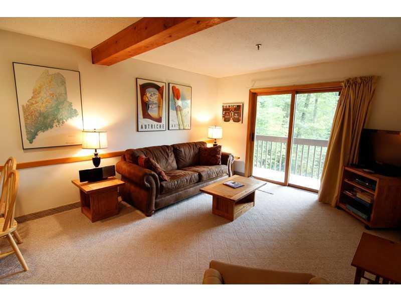 8 Moonstruck Drive, Unit B112 Newry, ME 04261 - Photo 3 of 15 Living Room. Living room with slider...
