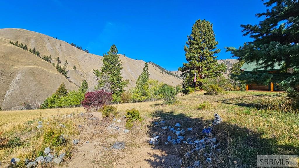 53 Runnin Bear Road Carmen, ID 83462 - Photo 12 of 66