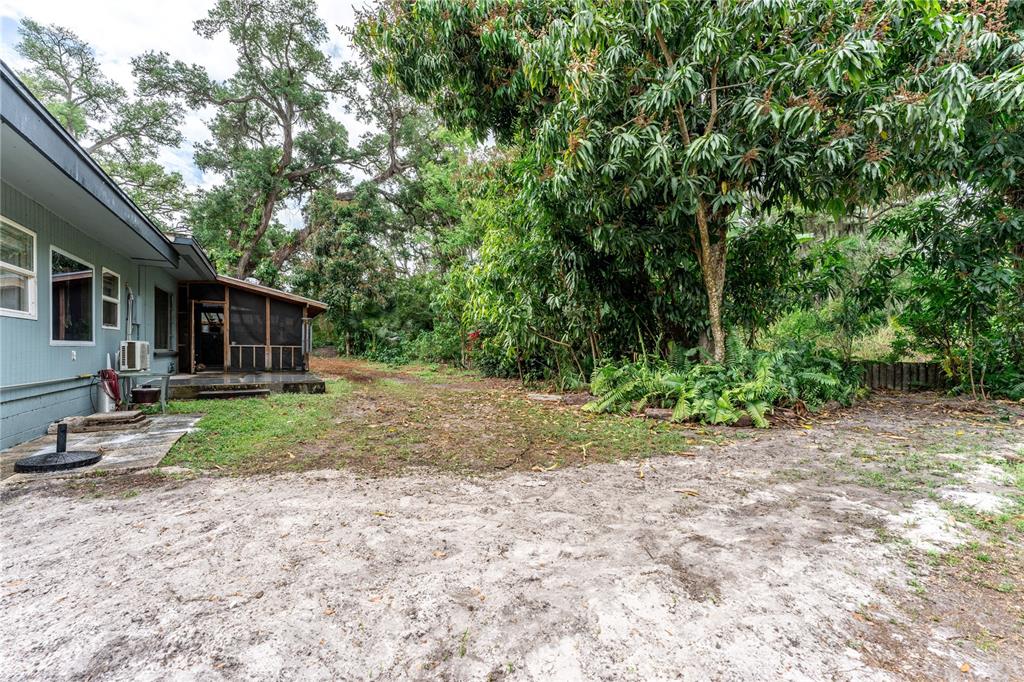 1335 40th Street Sarasota, FL 34234 - Photo 44 of 50 a view of backyard of house with green space