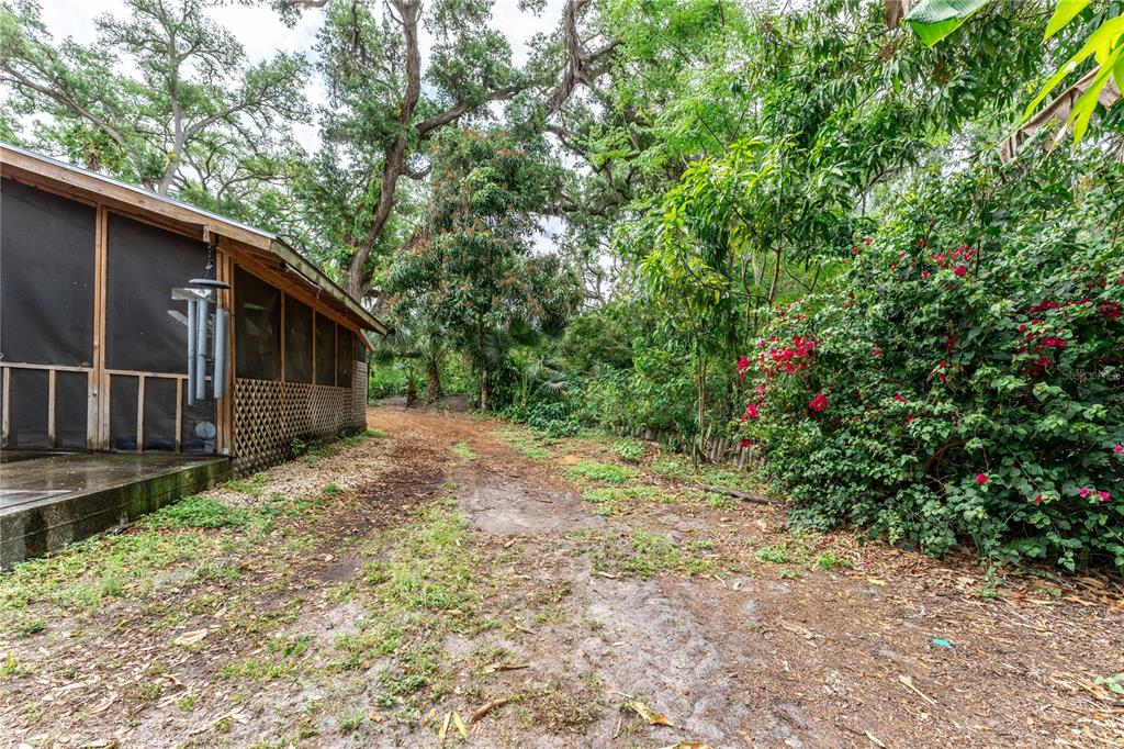 1335 40th Street Sarasota, FL 34234 - Photo 46 of 50 a backyard of a house with lots of green space
