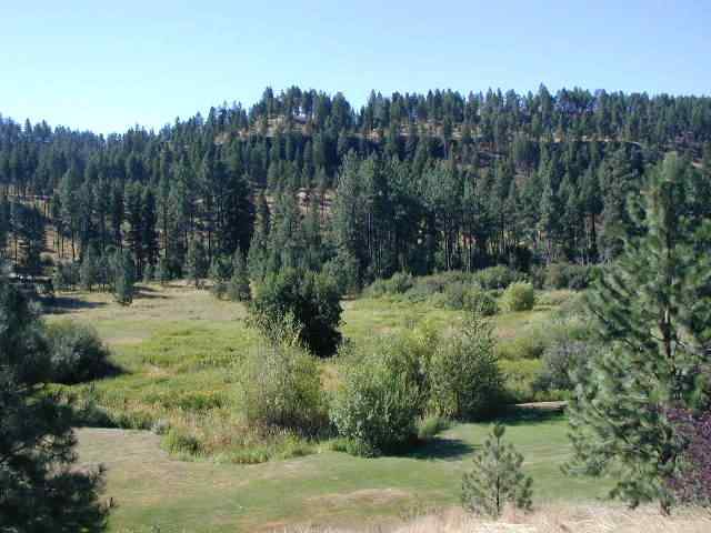 16811 West Coulee Hite Road Spokane, WA 99224 - Photo 2 of 8