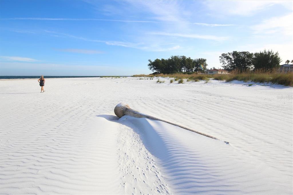 4515 Mangrove Point Road Bradenton, FL 34210 - Photo 53 of 59 a view of outside space and yard