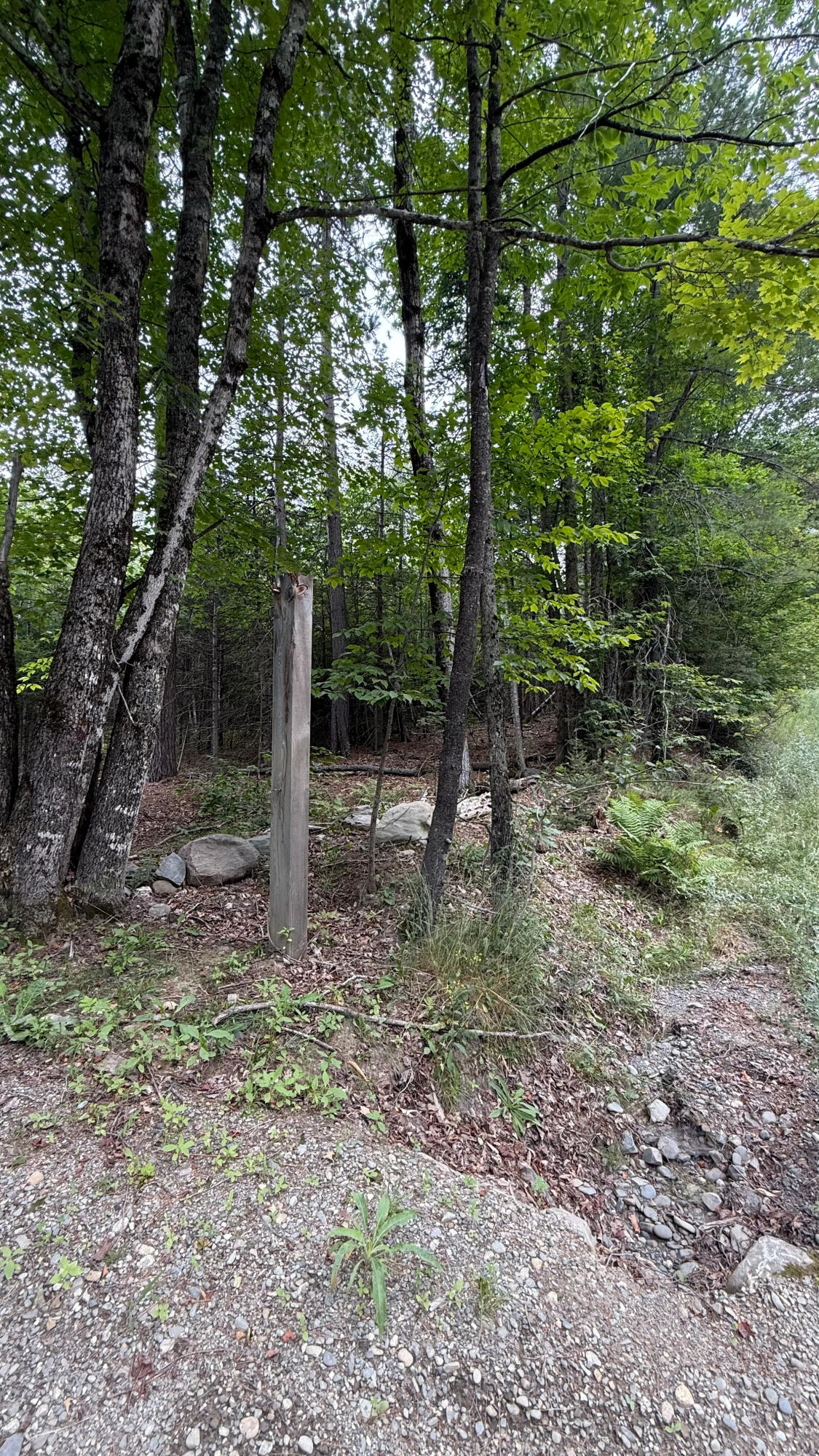 50 Glass Hill Road Guilford, ME 04443 - Photo 108 of 112 IMG_E3651